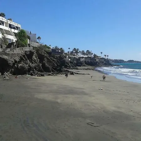 Magnifico * San Agustín